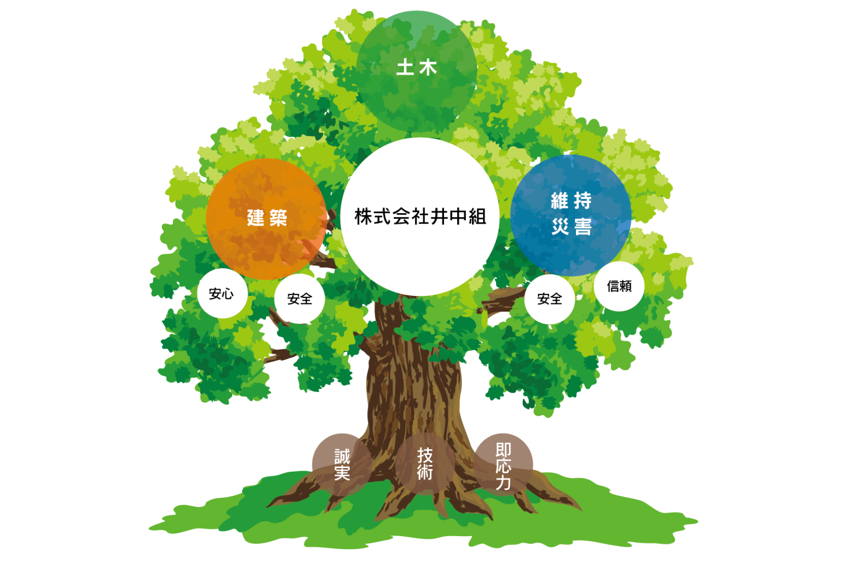 事業内容 株式会社井中組 事業内容 株式会社井中組